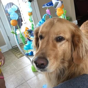 Meet your Posher, Lindsay